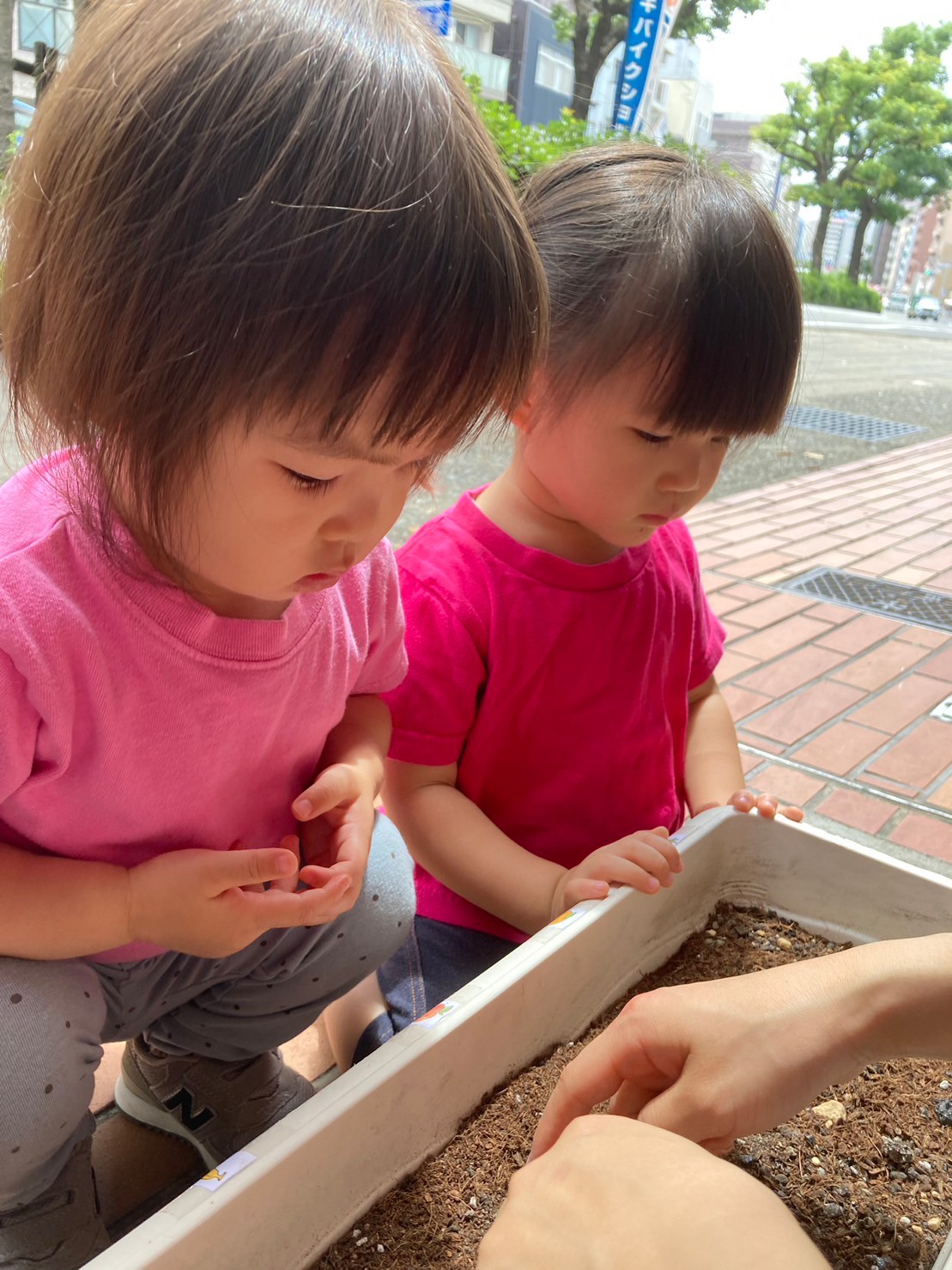 アイキャッチ画像